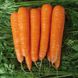 Семена моркови Матч F1, Clause 100 000 семян 1067886642 фото 2