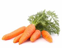 Насіння моркви фермерам