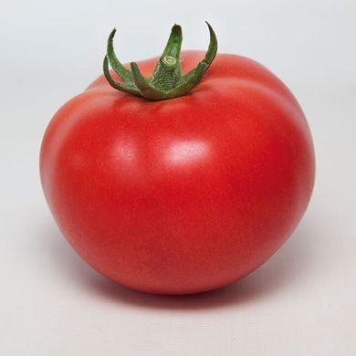 Манамі F1 (КС 21 F1) - насіння томата, 500 шт, Kitano 50361 фото