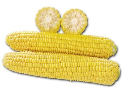 1010 F1 - насіння кукурудзи, 2500 шт, Lark Seeds 894766233 фото