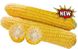1010 F1 - семена кукурузы, 2500 шт, Lark Seeds 894766233 фото 2