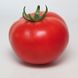 Манамі F1 (КС 21 F1) - насіння томата, 500 шт, Kitano 50361 фото 2