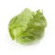 Аруша - насіння салату, 1000 шт (драже), Rijk Zwaan 1092513305 фото 1