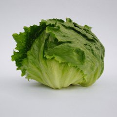 Лекстріс - насіння салату, 5000 шт, Bejo 58963 фото