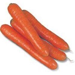 Колтан F1 - насіння моркви, 100 000 шт (1.6 - 1.8), Nunhems 61033 фото