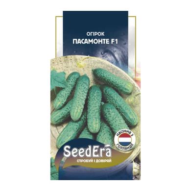 Пасамонте F1 - насіння огірка, 10 шт, Syngenta (SeedEra) 43902 фото