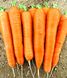 Колтан F1 - насіння моркви, 100 000 шт (1.6 - 1.8), Nunhems 61033 фото 1