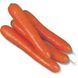 Колтан F1 - насіння моркви, 100 000 шт (1.6 - 1.8), Nunhems 61033 фото 3