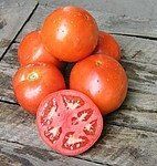 Ламантін F1 - насіння томата, 1000 шт, Nunhems 99364 фото