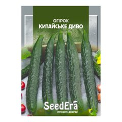 Китайське Диво - насіння огірка, 100 шт, SeedEra 00124 фото