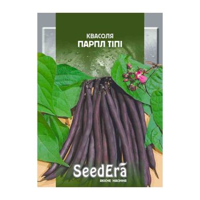 Парпл Тіпі - насіння квасолі спаржевої, 20 г, SeedEra 67111 фото
