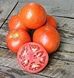Ламантін F1 - насіння томата, 1000 шт, Nunhems 99364 фото 2
