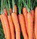 Лагуна F1 - насіння моркви, 25 000 шт (2.0 - 2.2), Nunhems 79157 фото 3
