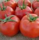Сагатан F1 - насіння томата, 1000 шт, Syngenta 90148 фото 1