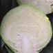 Каббис F1 - семена капусты белокочанной, 2500 шт, Hazera 27800 фото 2