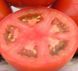 Ламантін F1 - насіння томата, 1000 шт, Nunhems 99364 фото 3
