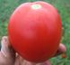 Калієндо F1 - насіння томата, 1000 шт, Esasem 744026678 фото 1