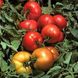 Трибека F1 - семена томата, 1000 шт, Hazera 20827 фото 3