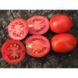 Калієндо F1 - насіння томата, 1000 шт, Esasem 744026678 фото 3