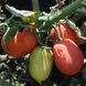 Калієндо F1 - насіння томата, 1000 шт, Esasem 744026678 фото 4