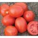 Трібека F1 - насіння томата, 1000 шт, Hazera 20827 фото 2