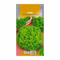 Одеський кучерявець - насіння салату, SeedEra опис, фото, відгуки