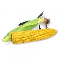 Старшайн F1 - насіння кукурудзи, 50 000 шт, Syngenta 62507 фото