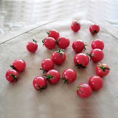 Ріанна F1 - насіння томата, 250 шт, Sakata 57438 фото