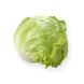 Картагенас - насіння салату качанного, 5000 шт (драже), Rijk Zwaan 30199 фото 2