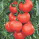 Абелус F1 - насіння томата, 1000 шт, Rijk Zwaan 97840 фото 2
