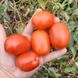 Керо F1 - насіння томата, 500 шт, Esasem 26679 фото 3