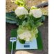 Вайтон F1 - насіння капусти цвітної, 1000 шт, Sakata 75501 фото 3