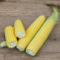 3517 F1 - семена кукурузы, 25 000 шт, Spark Seeds 66239 фото