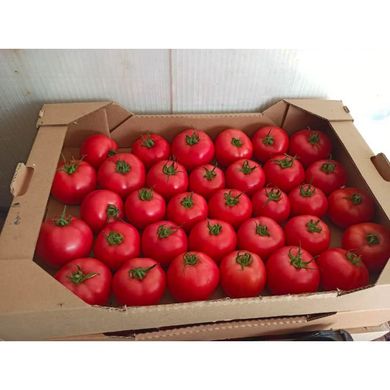 Пінк Імпрешен F1 - насіння томата, 250 шт, Sakata 58345 фото