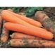 Морковь Метро F1, 100 000 семян, Agri Saaten 1077096990 фото 2