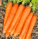 Романс F1 - насіння моркви, 100 000 шт (1.6 - 1.8), Nunhems 96659 фото 2