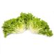 Кірібаті - насіння салату, 5000 шт (драже), Rijk Zwaan 1094582792 фото 2