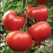 Беллавіза F1 - насіння томата, 100 шт, Rijk Zwaan 12099 фото 1