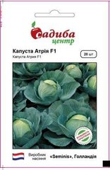 Атрия F1 - семена капусты белокочанной, Seminis (Садыба Центр) описание, фото, отзывы