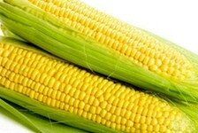 Світ Вондер F1 - насіння кукурудзи, 5000 шт, Agri Saaten 1076893276 фото