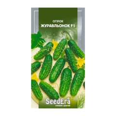 Журавльонок F1 - насіння огірка, SeedEra опис, фото, відгуки