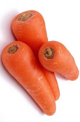 СВ 3118 F1 - насіння моркви, 1 000 000 шт (1.6-1.8), Seminis 1085354632 фото