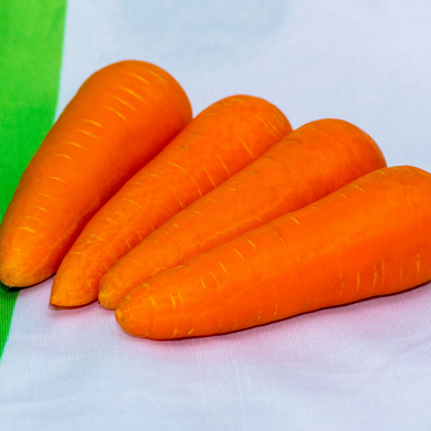 СВ 3118 F1 - семена моркови, 1 000 000 шт (1.6-1.8), Seminis 1085354632 фото