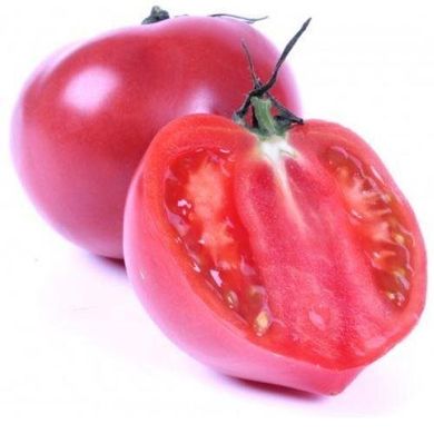 Китару F1 (КС 14 F1) - семена томата, 1000 шт, Kitano 905550322 фото
