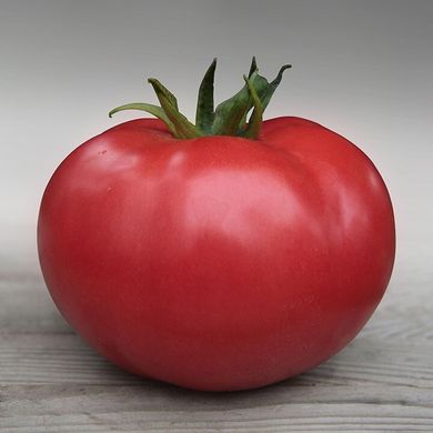 Кібо F1 - насіння томата, 100 шт, Kitano 50358 фото