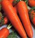 Канада F1 - насіння моркви, 25 000 шт (1.6-1.8), Bejo 61830 фото 3