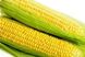 Світ Вондер F1 - насіння кукурудзи, 5000 шт, Agri Saaten 1076893276 фото 3