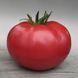 Кібо F1 - насіння томата, 100 шт, Kitano 50358 фото 2