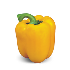 Герардо F1 - насіння солодкого перцю, Hazera опис, фото, відгуки