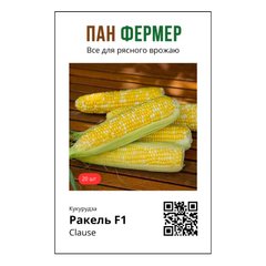 Ракель F1 - насіння кукурудзи, 20 шт, Clause (Пан Фермер) 27331 фото